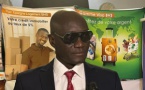 Salon itinérant de l’habitat du Sénégal aux USA: la DSCOS dans sa mission au-delà des frontières pour une meilleure prévention