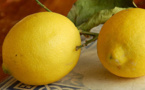 Voici comment conserver vos citrons frais pendant un mois