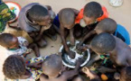 L’insécurité alimentaire : Au Sénégal, quatre départements sont dans le rouge