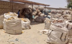 Thiès : Touba recyclage plastique a recyclé 600 tonnes de plastique en 2022 (Responsable)