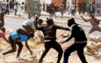 Violence inédite au Sénégal : Comment en est-on arrivé là ? Comment s’en sortir ?