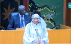 Assemblée nationale: Aïssata Tall Sall s'insurge contre les saccages des consulats à l'étranger