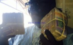 La dernière frasque du jet-setteur Mbaye Sène alias "Mbaye Wandelo" 