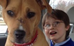 Une famille a adopté un chiot maltraité pour leur fils qui souffre d'autisme, ils ne savaient pas à quel point la vie allait changer pour eux !