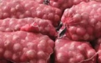 Potou : Les producteurs d"oignons s'insurgent contre la rétention de l'oignon opérée par certains gros producteurs et commerçants;