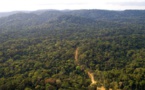 Côté Can : Les journalistes sénégalais se perdent dans la forêt équato-guinéenne pendant 2 heures