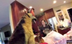 Il piège sa mère avec un énorme chien en peluche