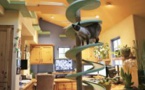 Une maison transformée en paradis pour chats