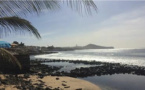 Présence en zone maritime d’une micro-algue toxique aux Almadies
