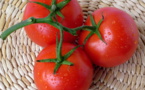 10 aliments que tout le monde met au frigo, mais c'est une grosse erreur !