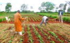 Sangalkam: La campagne hivernale 2023 prend son envol