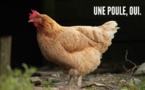 Top 10 des trucs improbables qu’on peut louer (et on devrait pas forcément avoir le droit)