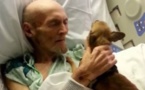 Un homme mourant souhaitait voir son chien une dernière fois. Cette visite lui a sauvé la vie !