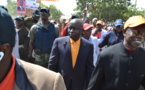 Massification de leur parti : Les "rewmistes" comptent investir tout Dakar