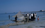 Arrêt sur image : La relève des filets sur la plage de Hann en 1960.