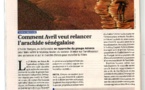 Comment Avril et Abbas Jaber comptent relancer l'arachide sénégalaise (Jeune Afrique)