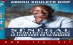 Cérémonie de présentation et de dédicace : Abdou Soulèye Diop dévoile 'Sénégal à portée de main : Le Lion sort de sa Tanière'