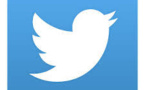 Meerkat, l'appli qui diffuse vos vidéos en direct sur Twitter