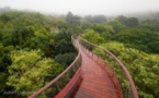 Dans la ville de Cap, une passerelle vous permet de vous balader au dessus des arbres ! La vue est superbe...