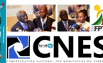 Métiers d'experts et consultants au Sénégal : La FNECS expose les enjeux et perspectives et insiste sur le savoir-faire sénégalais