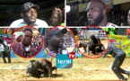 POKOLA BALDE VS GACKOU 2 - INTEGRALE  : TOUT CE QUE VOUS AVEZ RATE EN IMAGES