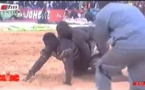 Eumeu Sène fait mordre la poussière à Balla Gaye 2
