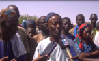 Incident entre Peulhs et Baye Fall à Touba: La communauté donne sa version des faits et charge les disciples de Cheikh Ibra Fall