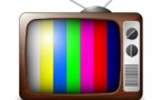 Le crépuscule du citoyen et le triomphe de la télé-citoyenneté : Quand des idoles deviennent des bourreaux