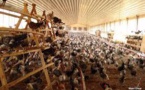 Grosse alerte au Sénégal : la grippe aviaire refait des ravages au Burkina Faso