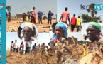 Affaire des 22 hectares de Mbèye: La population implore une résolution rapide du litige foncier