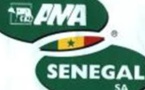Les travailleurs de AMA Sénégal réclament toujours leur argent 
