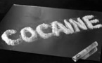 Les douanes françaises saisissent 2,25 tonnes de cocaïne au large de la Martinique