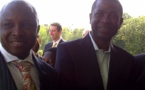 Tournure internationale de l’affaire Youssou Ndour - DP World  :  Des opérateurs économiques de la diaspora en colère