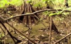  Documentaire : L'importance de l'eau sur Terre 