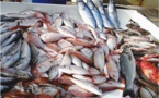 Tambacounda: Les vendeurs de poissons sont inquiets 