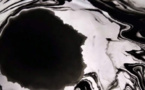 Vous ne devinerez jamais à partir de quoi cette encre a été créée