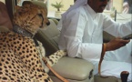 8 scènes incroyables​ que vous ne pourrez voir qu’à Dubaï