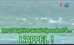 Retour sur le miracle de Yoff: Quand les dauphins répondaient à l'APPEL de Baye Laye ! (Vidéo)