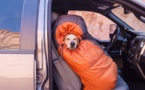 Ce photographe réalise un fabuleux projet avec son chien à travers les Etats-Unis...