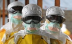 Traitement du Virus Ebola : Prometra découvre une recette à base de plantes