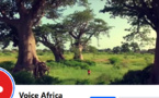 Communication du Groupe Sonatel Orange: L'Agence VOICE AFRICA avec son expertise avérée, prend les commandes