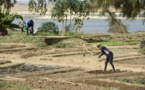 Mali : Gao, encerclée par les rumeurs de la guerre