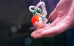 Un homme construit un petit fauteuil flottant pour son poisson handicapé...