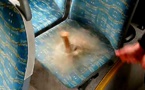 À l'aide d'un petit marteau, il explique pourquoi les sièges de bus sont toujours pleins de couleurs vives ! Attention énorme choc...