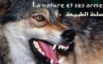 La nature et ses armes 