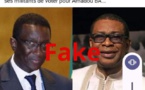 Fake news / Cette information sur Youssou Ndour et Amadou Bâ, est fausse !