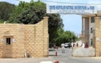 La drépanocytose fait des ravages au Sénégal 