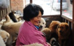 Une chinoise sauve 100 chiens au Yulin Festival