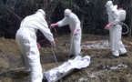 Ebola - Le virus refait surface au Liberia : Un mort testé positif