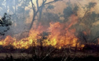 3 feux de brousse en 3 jours entre Kaffrine, Mbirkilane et Koungheul : L’imprudence des populations indexée